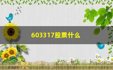 “603317股票什么时候上市